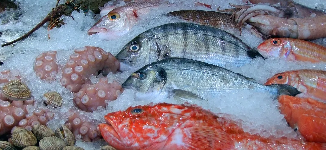 La importancia de rastrear la procedencia de los mariscos para prevenir abusos