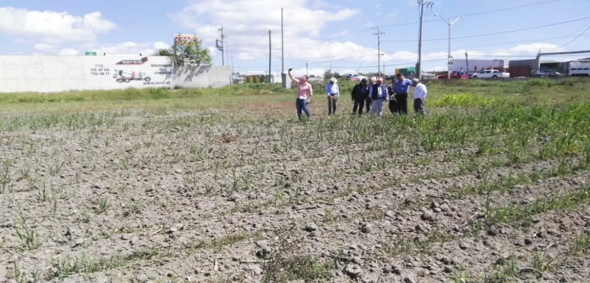 El representante explicó que algunos agricultores han tenido que vender maquinaria o tierras para solventar sus compromisos.