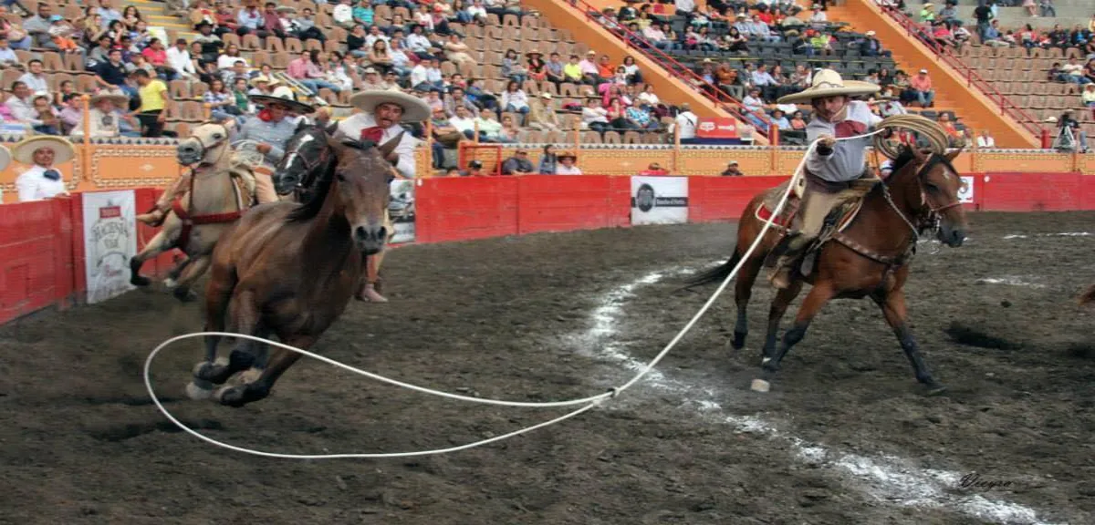 Hay algunas suertes que deben suspenderse por el maltrato a los animales.