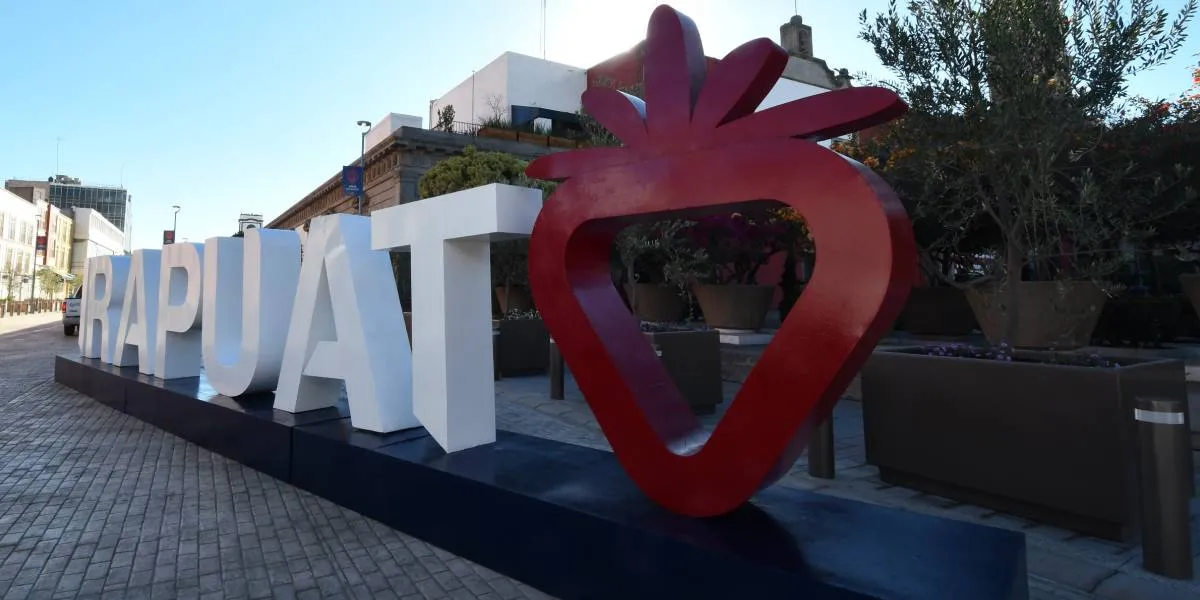 Los semáforos de la ciudad de Irapuato cuentan en distintas zonas con una fresa como imagen.