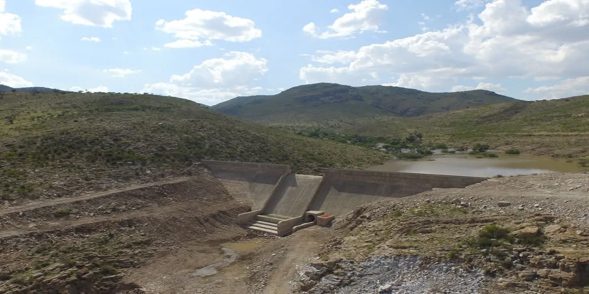 El panorama para el campo guanajuatense, que depende en gran medida del riego proveniente de presas.