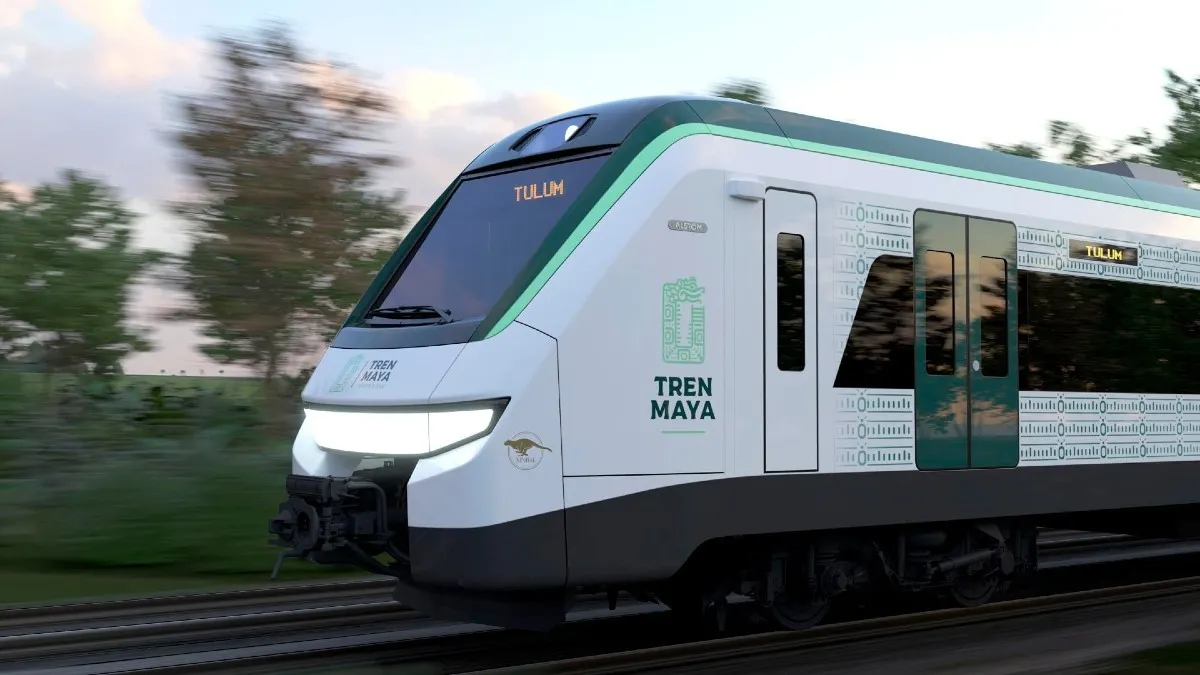Actores, cantantes y activistas se unen para defender la selva del Tren Maya 