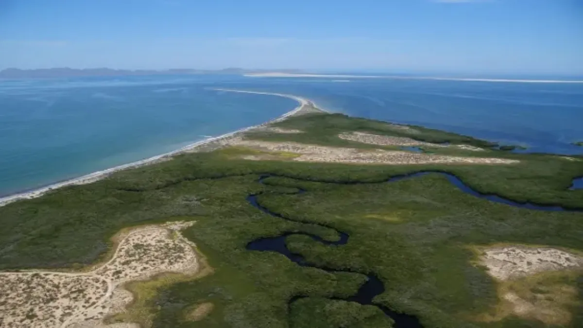 Pescadores denuncian ocupación ilegal de la ZOFEMAT en isla Magdalena en BCS