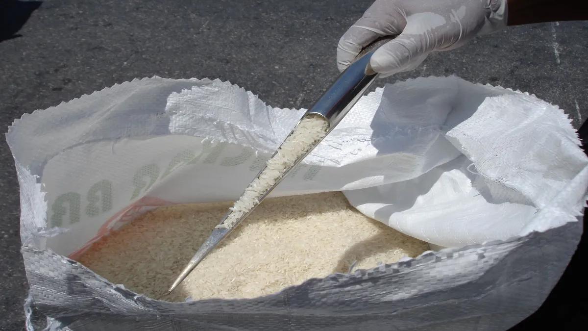 Senasica abrirá el mercado mexicano al arroz pakistaní, evitando el ingreso de plagas exóticas