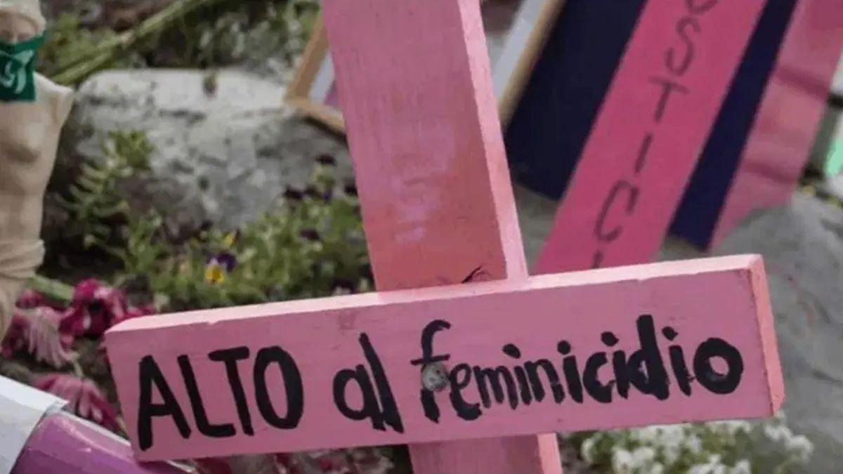 Suman más de 27 mil 133 asesinatos de mujeres y niñas en siete años: IBD