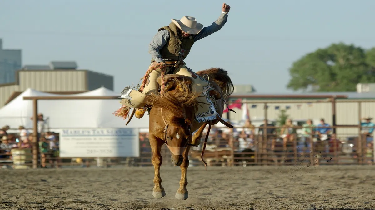 Los vaqueros de un rodeo gay en Texas le ponen un lazo a la ...