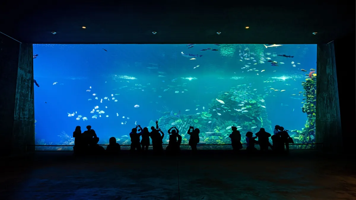 Con mil 800 mdp de inversión abre el Gran Acuario Mazatlán, el más grande de México y América Latina
