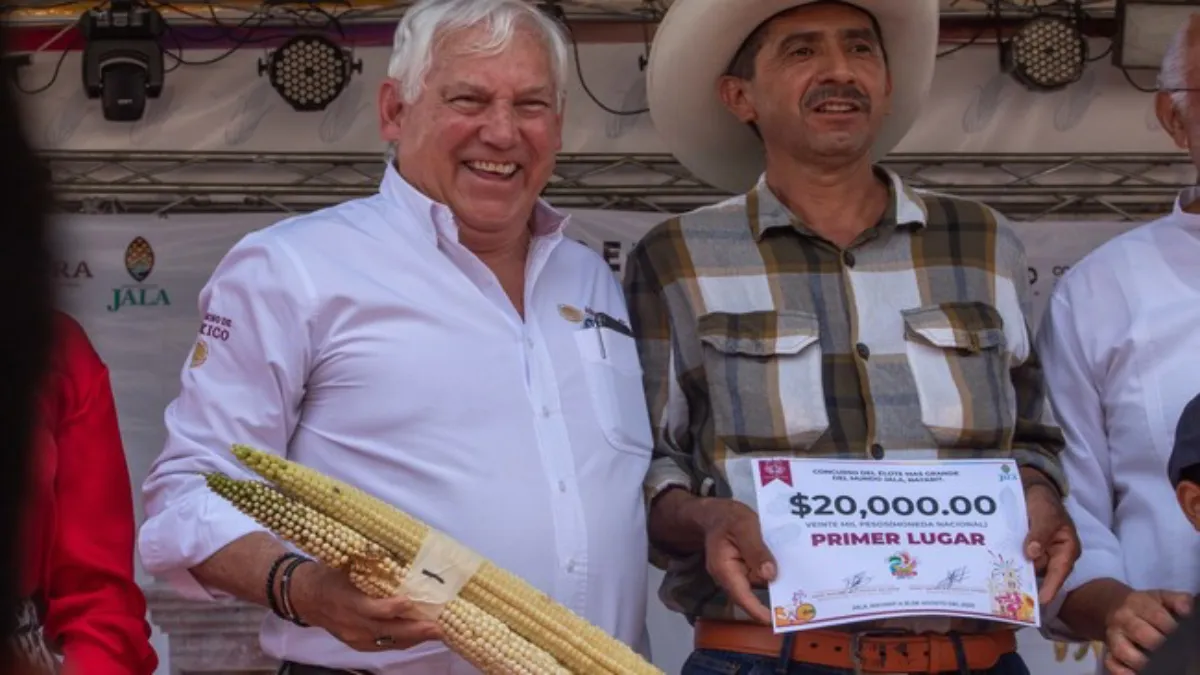 Tradición y cultura: Premian al elote más grande del mundo en Jala (Jalisco)