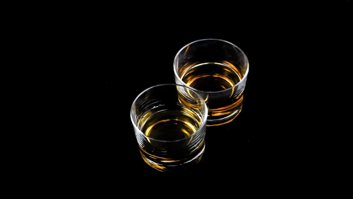 Excelentísimos borrachos: Un libro de la relación del alcohol con las artes