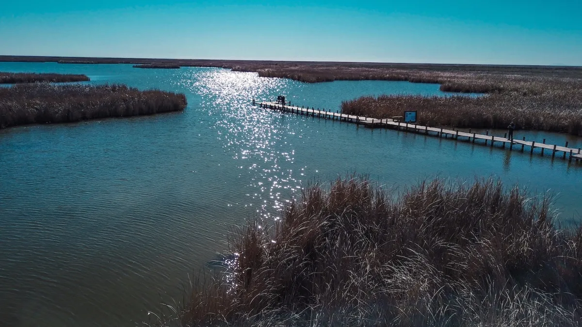 Urgen proyectos para anticipar futuros recortes de agua en el Río Colorado: Alfonso Cortez