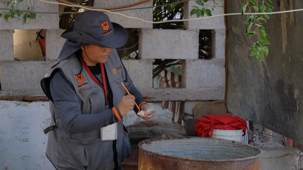 Sonora lucha contra el dengue con más de 450 mil acciones enfocadas en siete localidades