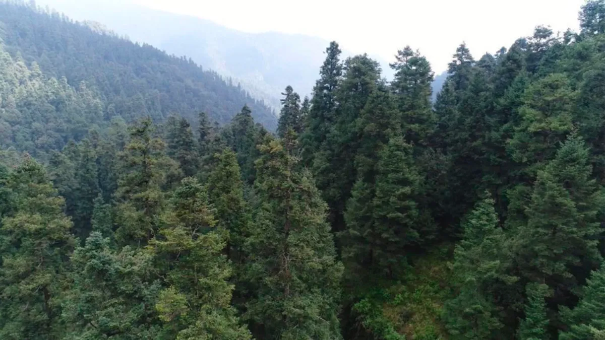 El gobierno de la CDMX recupera 623 hectáreas de áreas naturales protegidas