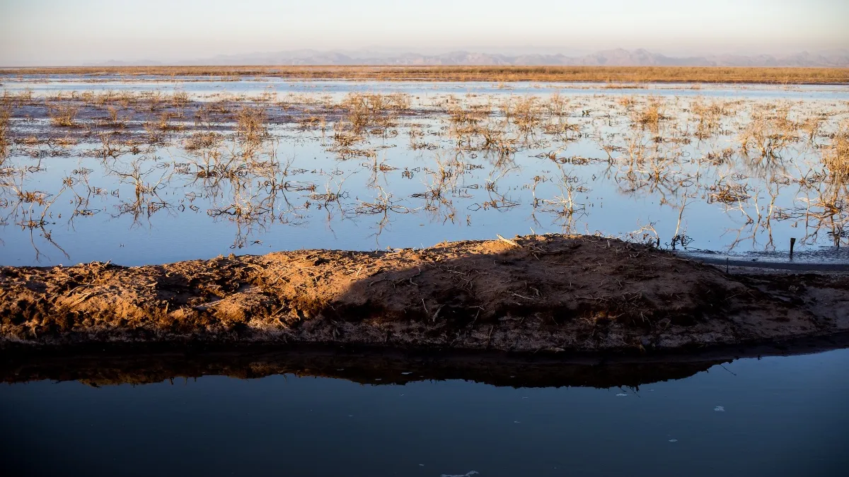 Invitan a la conexión y colaboración en el Festival Revive el Río Colorado 2023