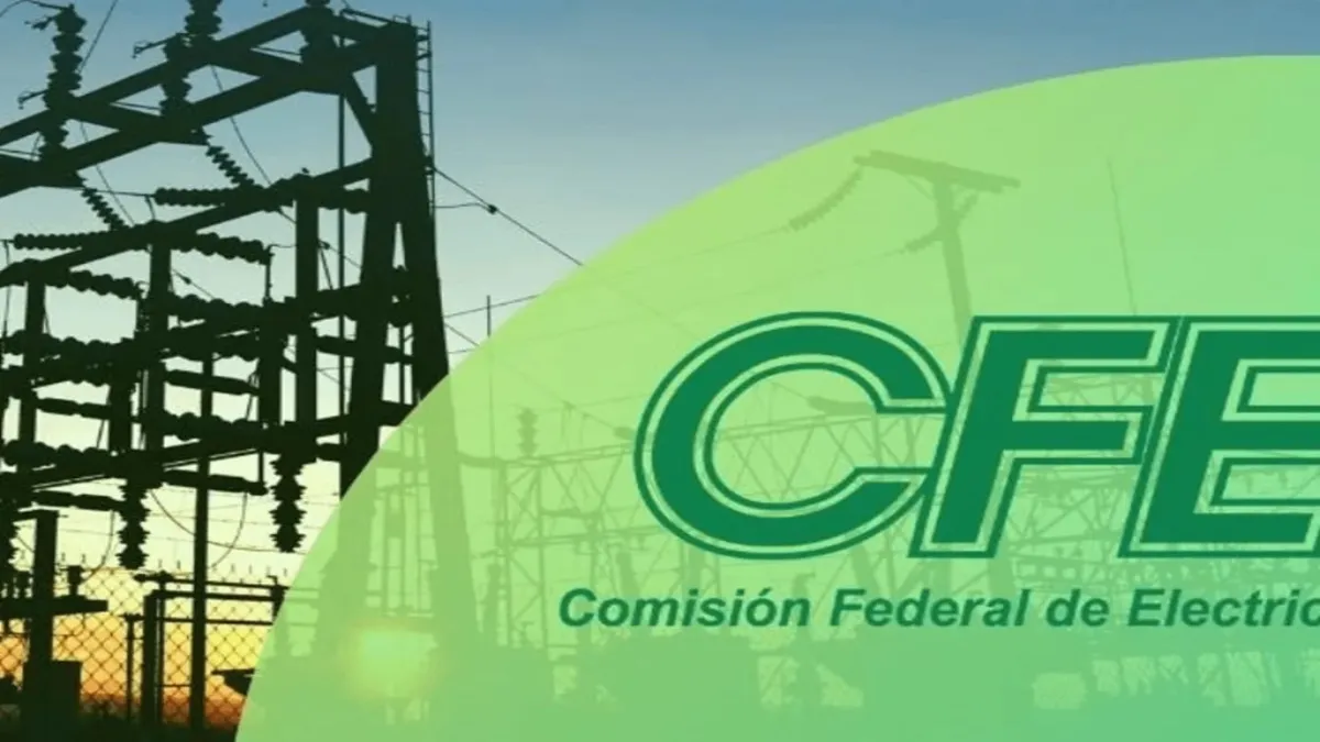 Además, advirtió que se trabaja con un presupuesto de CFE de 156 millones de pesos.