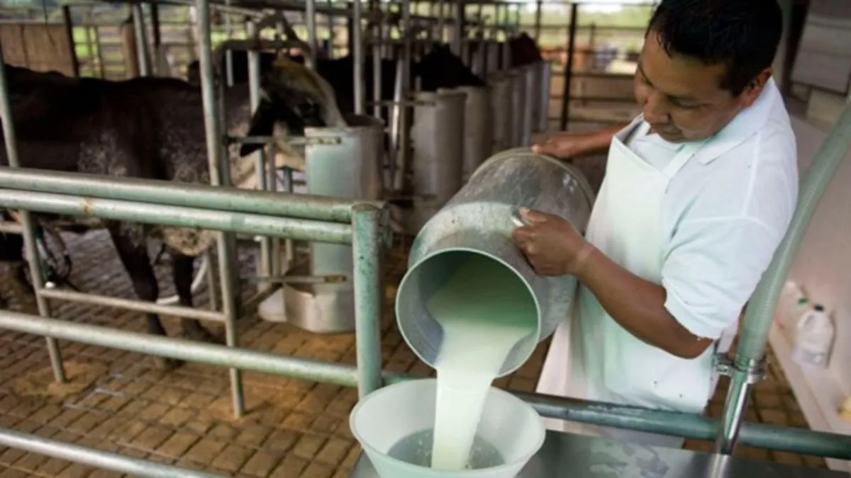 Los productores de leche a nivel nacional y sobre todo en la zona metropolitana de La Laguna, buscan diariamente nuevas estrategias.