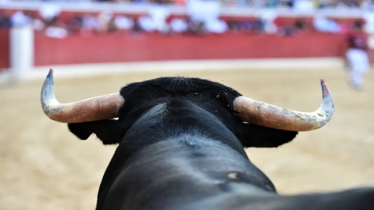 El abogado consideró que hay posibilidad de que regresen las corridas de toros a la ciudad.