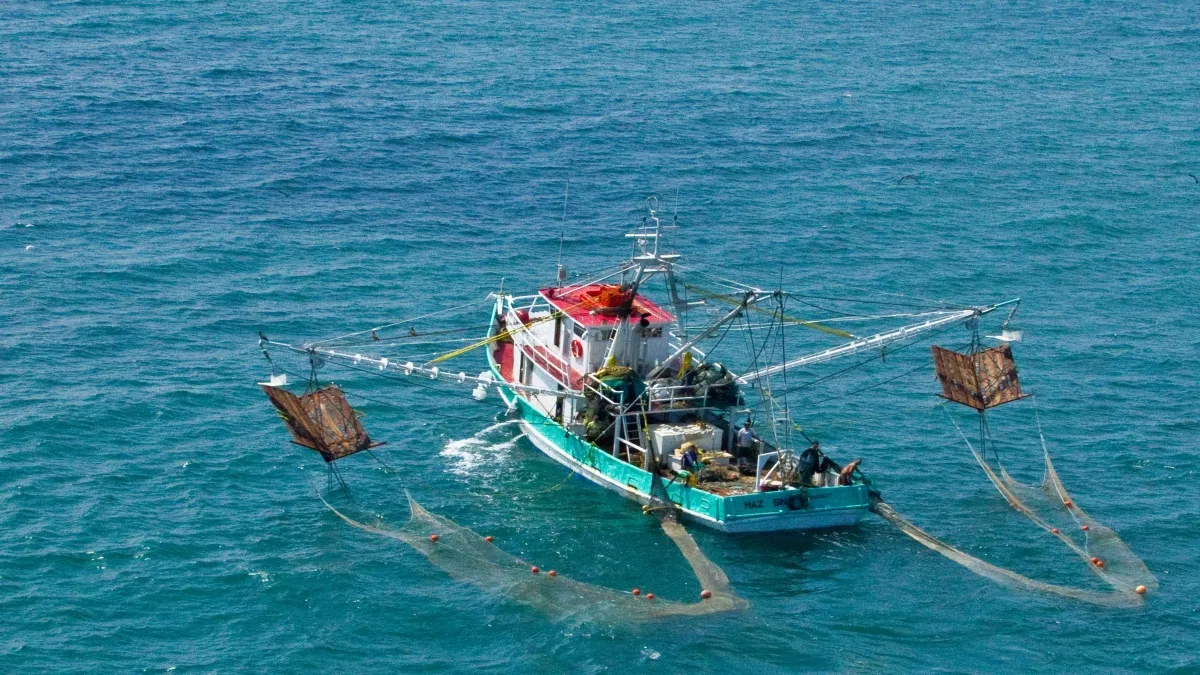Algunos armadores prefieren no sacar sus barcos a pescar cuando no hay condiciones favorables.