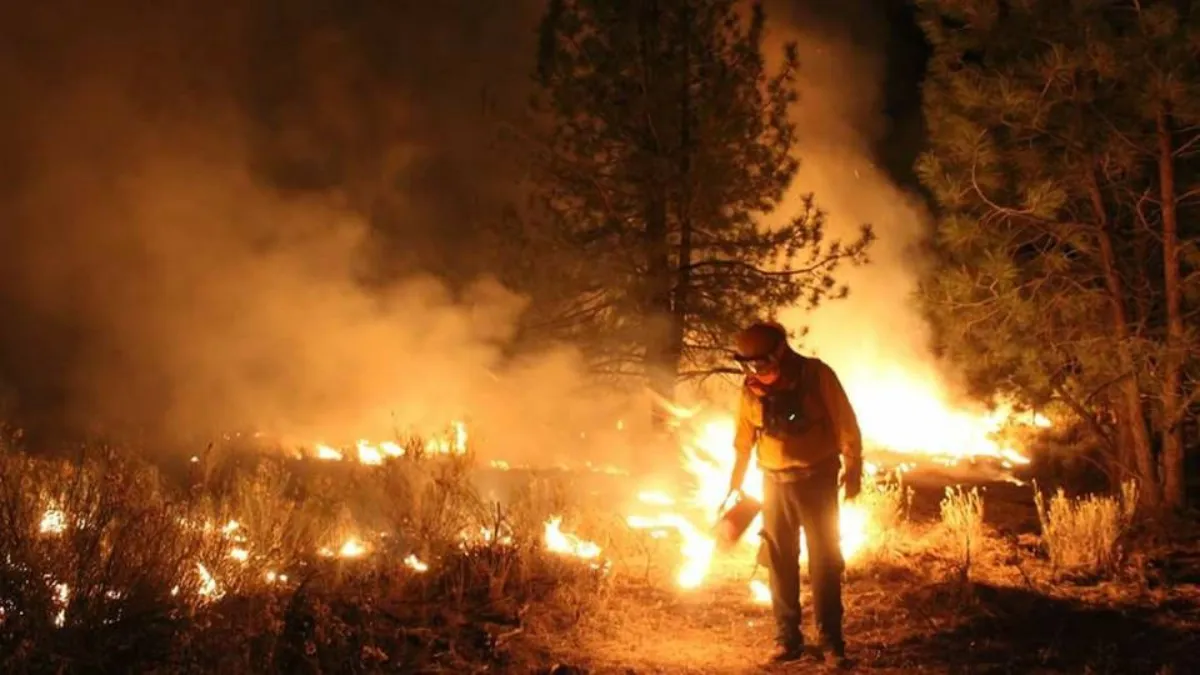 San Luis Potosí es el primer lugar nacional con incendios activos.
