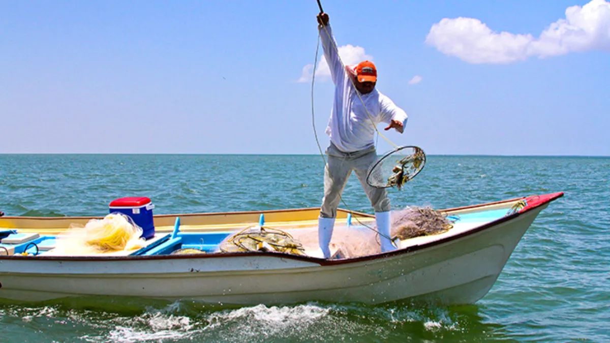 Los pescadores logran mantener viva la tradición mientras optimizan sus capturas.