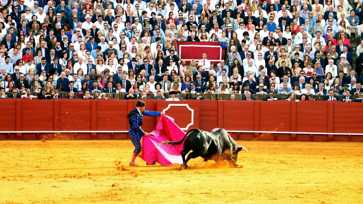 La iniciativa preferente ciudadana para acabar con la crueldad animal que viven los toros en las corridas. 
