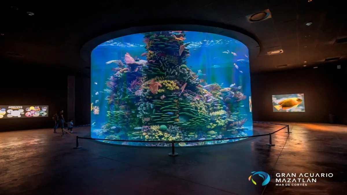 El Gran Acuario de Mazatlán “Mar de Cortés” ha cautivado a miles de visitantes.
