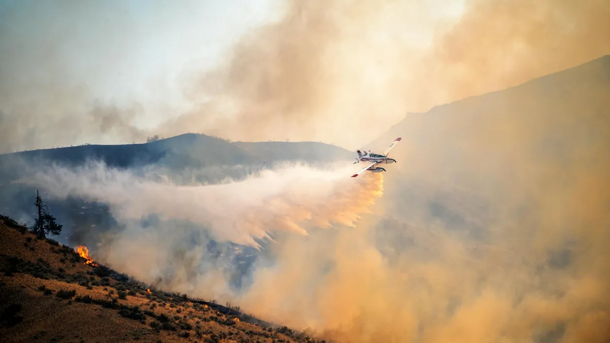 En el caso particular de La Cañada, como ejemplo, la ambientalista mencionó que los incendios son frecuentes.