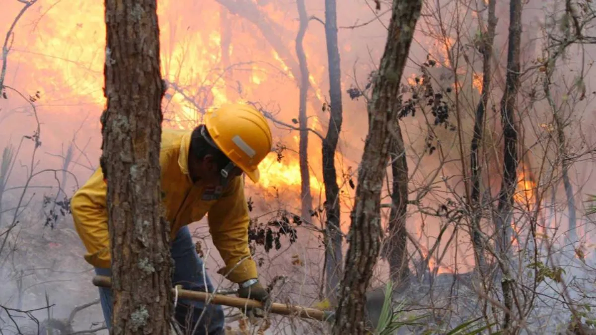Destacó que durante las temporadas vacacionales se disparan los incendios.