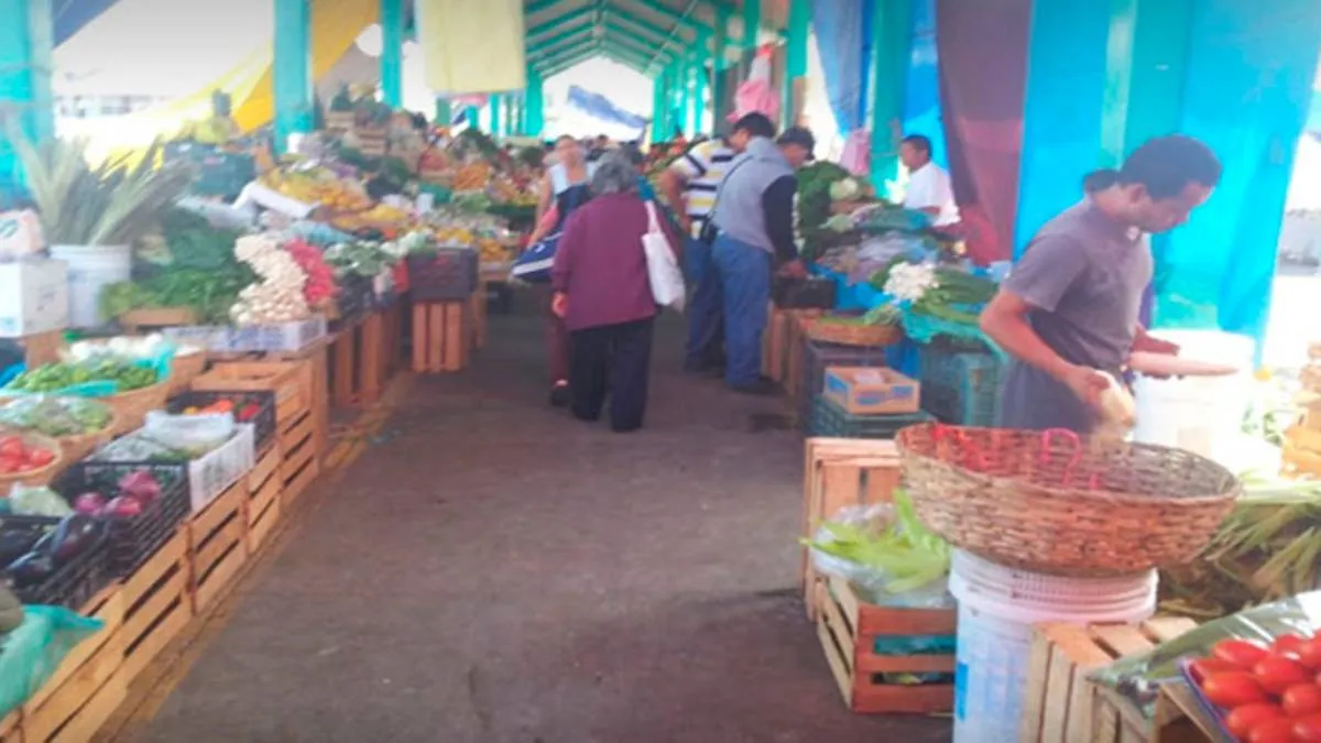 Estos tianguis son una oportunidad para todos los que están integrados al programa Sembrando Vida.
