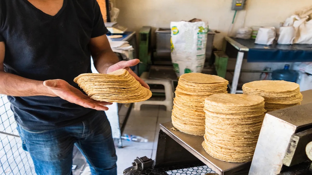Recordando que el precio del kilo de tortilla en el sur de Tamaulipas ronda los 28 pesos.