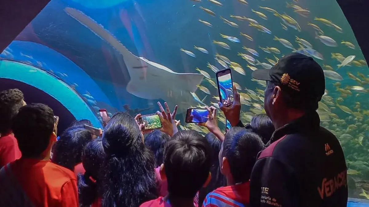 El pasado 31 de diciembre, se celebró por primera vez en el puerto de Veracruz la fiesta del Año Viejo.