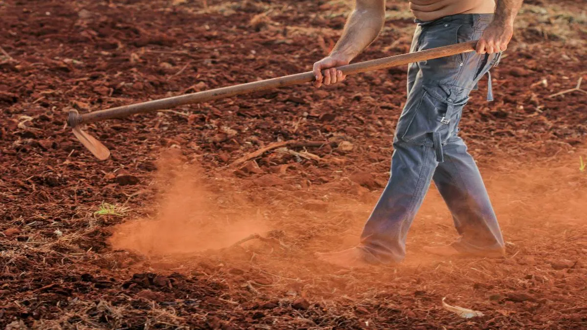 Para nosotros la tierra en Brasil debe ser destinada a la reforma agraria para los pequeños productores.