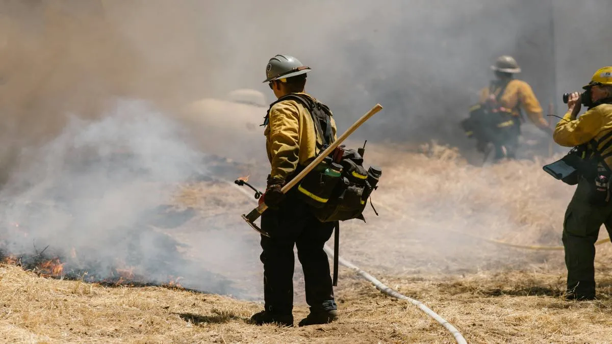 La restauración del suelo podría tardar hasta 40 años debido a la severidad de los incendios.
