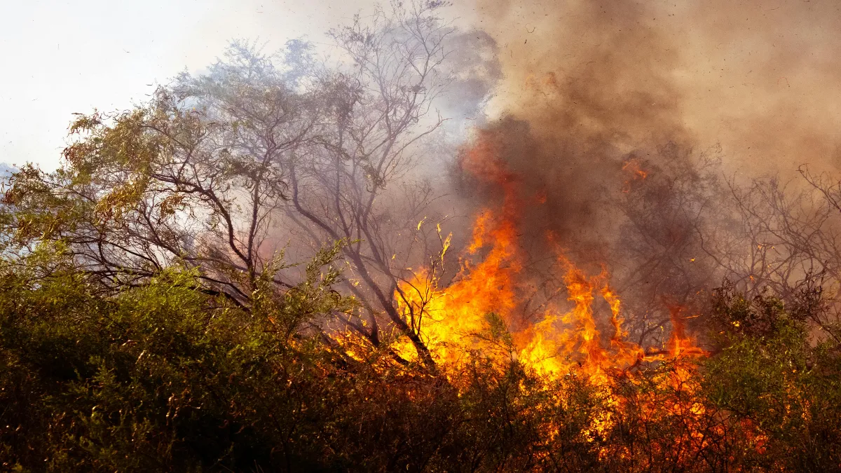 Estos incendios, originados desde hace dos meses mediante artefactos incendiarios lanzados desde drones.