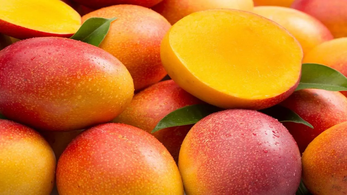 México es el principal exportador del mundo del mango y realmente tiene mucho interés por este cultivo.