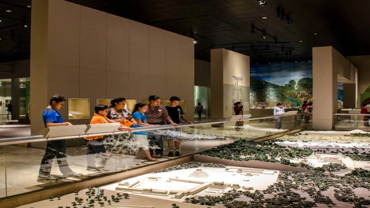 El personal que labora en los museos también fue contabilizado: en 2024, se registraron 31 mil 250 colaboradores.