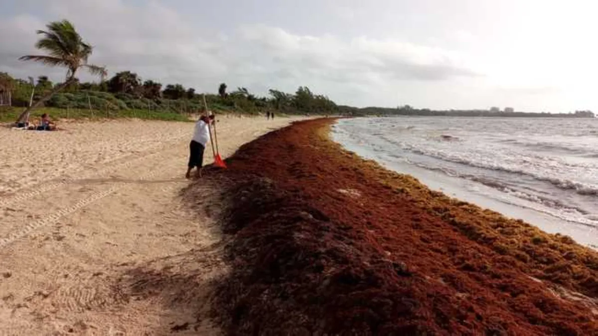 La playa de Cancún que está afectada en exceso por el sargazo es Playa Coral.