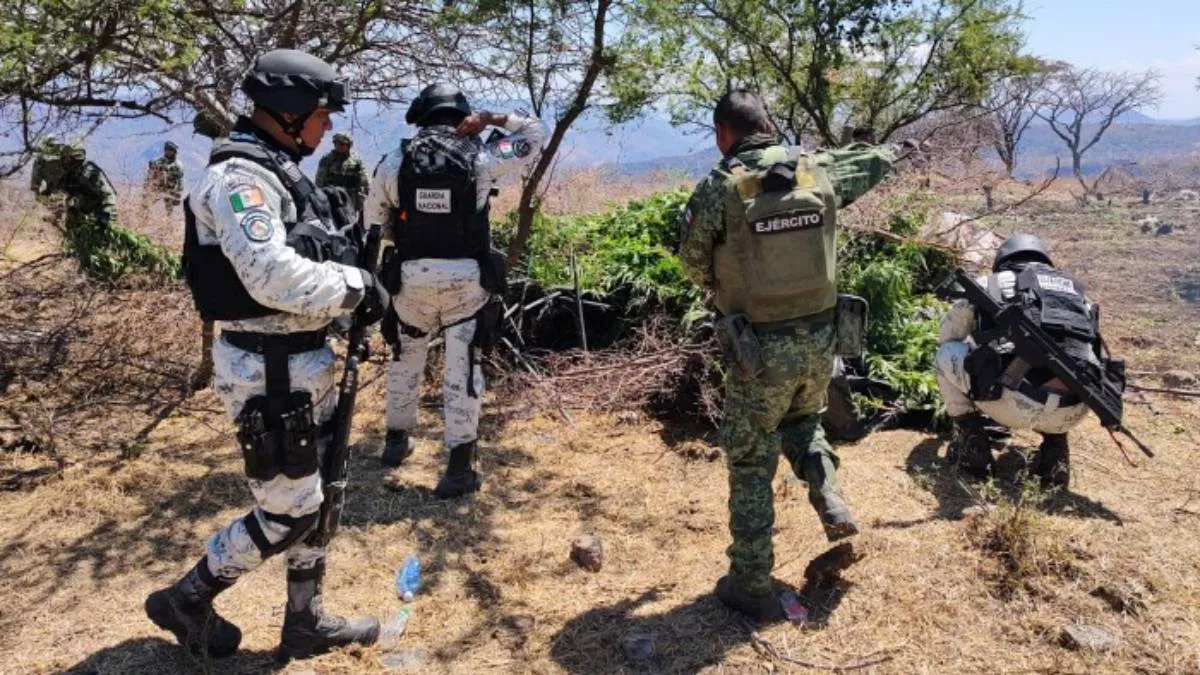 Aunado a esto, en los operativos, las corporaciones de seguridad, tanto estatales como federales.