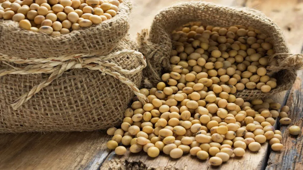 El Ejecutivo boliviano había restringido desde enero de manera temporal la venta externa de soya.