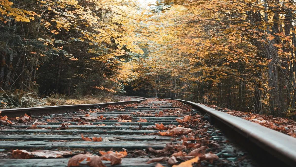 CDMX: Se enlazará con el Tren Suburbano que va de Buenavista a Cuautitlán.