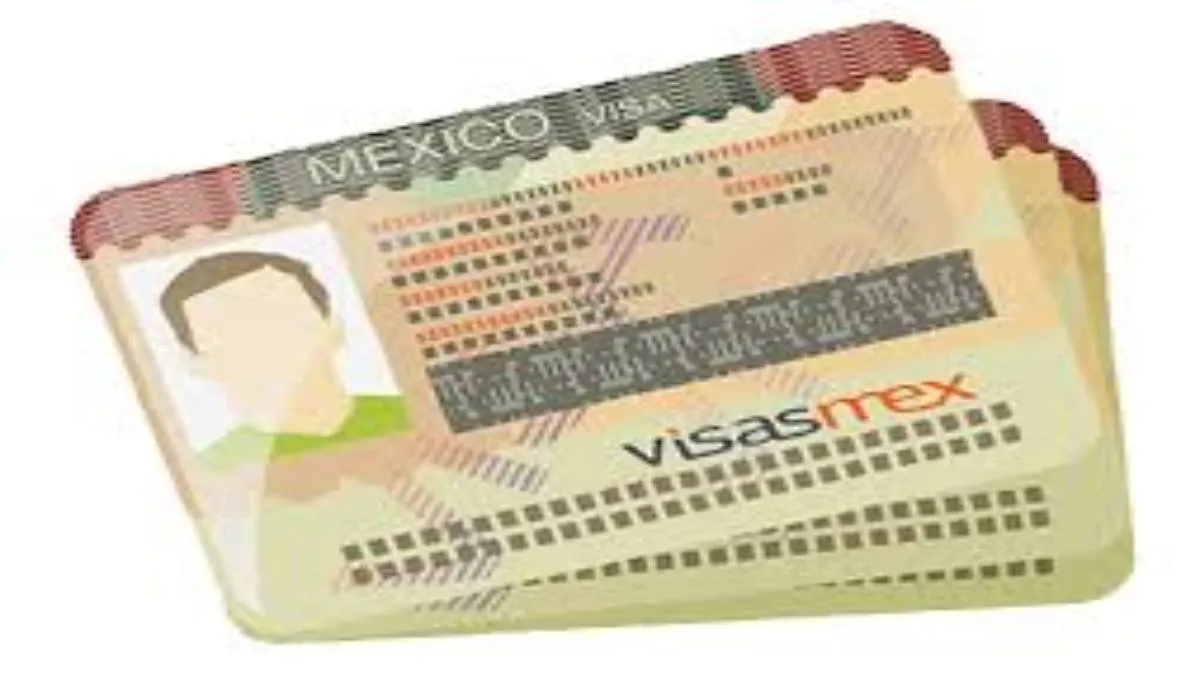 Argumentaron que la cancelación de la visa de no inmigrante no debe minimizarse ni considerarse un asunto privado.