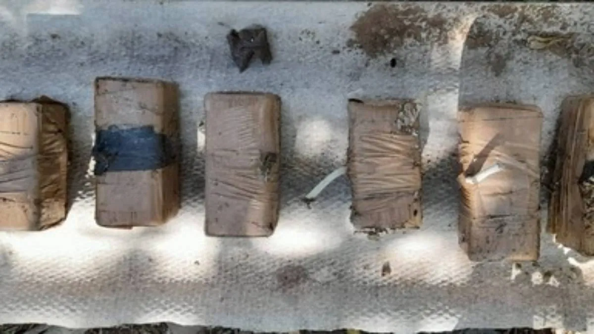 Otros grupos terroristas islamistas y algunos cárteles de la droga mexicanos.