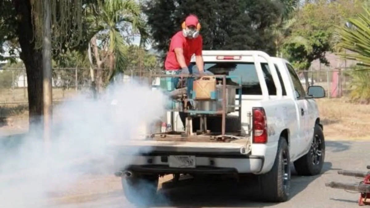 La combinación de lluvias y calor favorece a la proliferación de mosquitos transmisores del dengue.