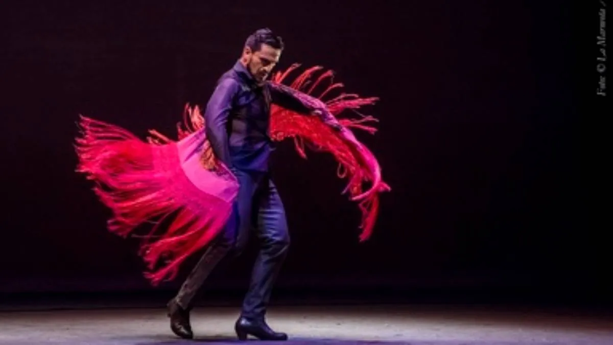 Yo estaba buscando juntar varias cosas, como el concepto del sur, que es el flamenco y el del norte, por la electrónica.