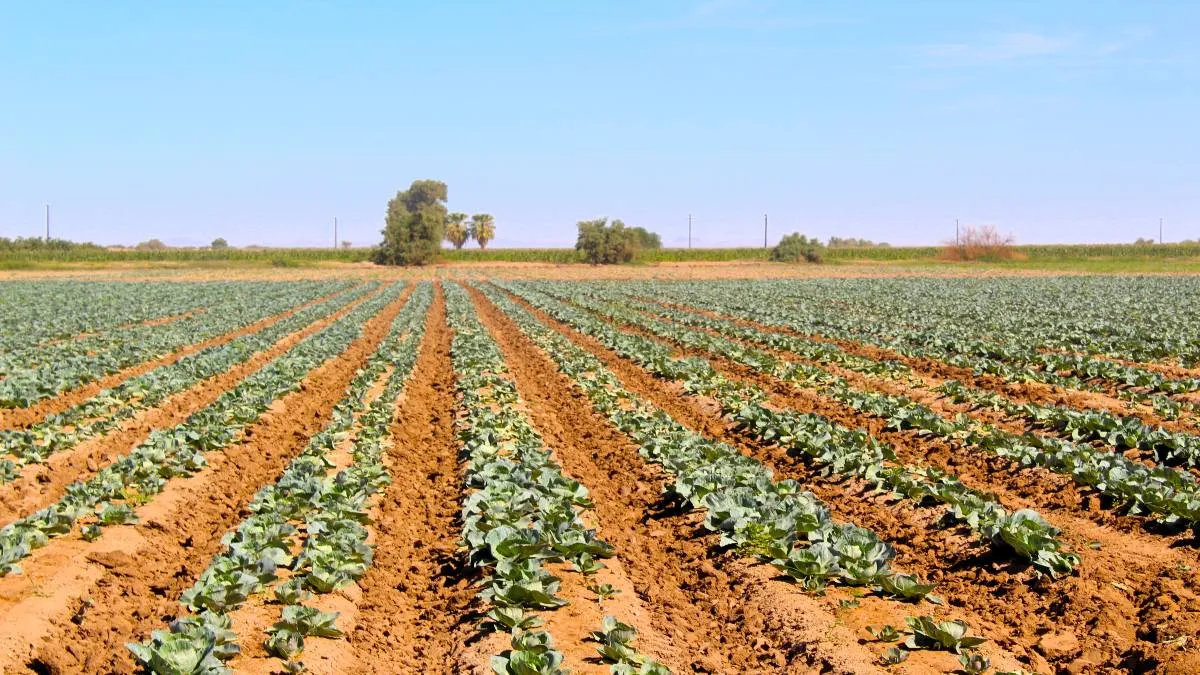 Lamentó que los productores no estén dispuestos a luchar por sus derechos, porque eso les facilita a los acopiadores.