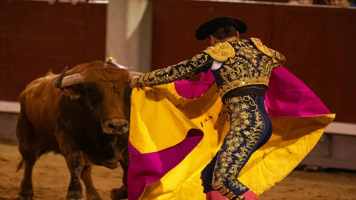Las entidades federativas no tienen competencia para declarar como patrimonio cultural a prácticas como las corridas de toros.