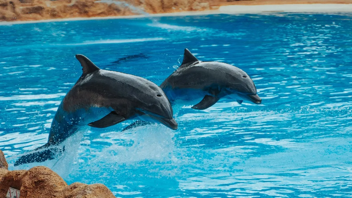 Tiene como objetivo proteger a ocho especies de delfines de río y a las numerosas especies acuáticas asociadas a sus hábitats.