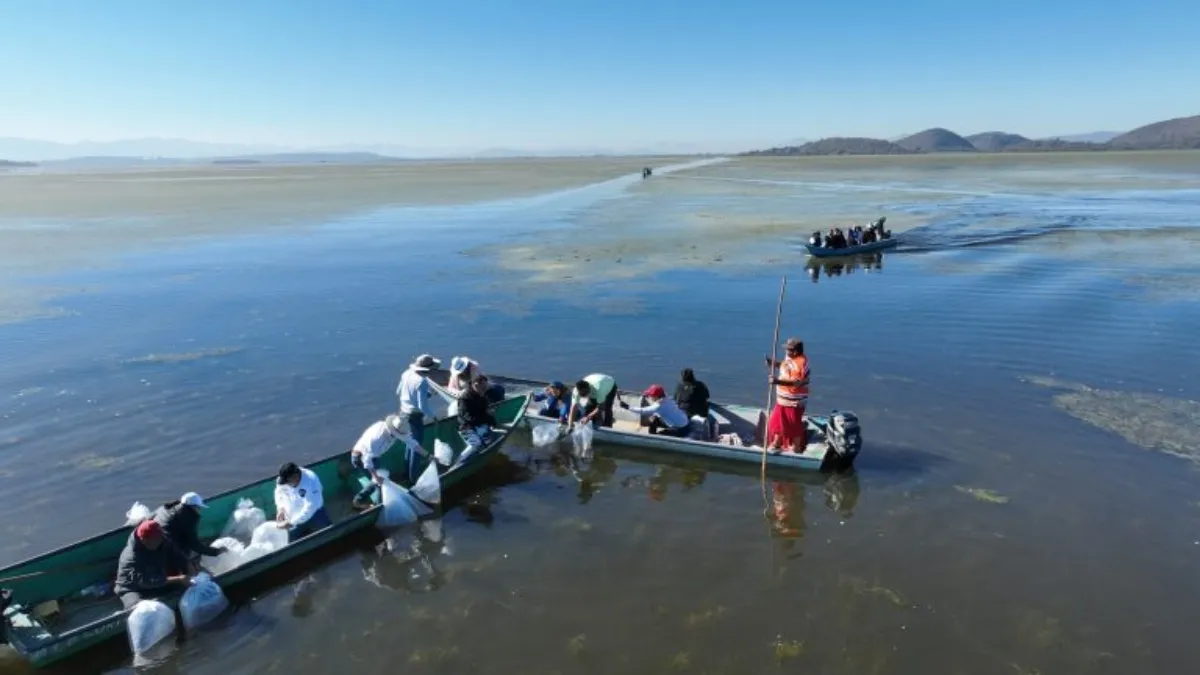 El evento concluyó con la liberación simbólica de peces en la presa Don Martín.