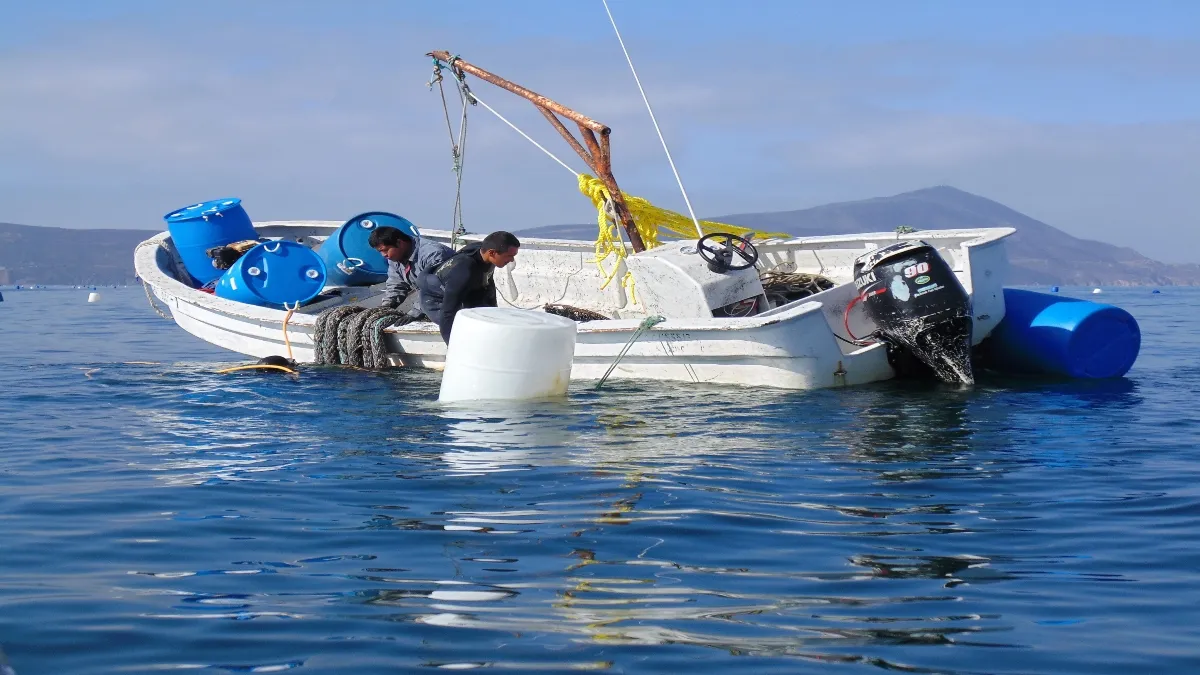 Ante las bajas expectativas económicas, los pescadores encuentran alternativas en la albañilería.