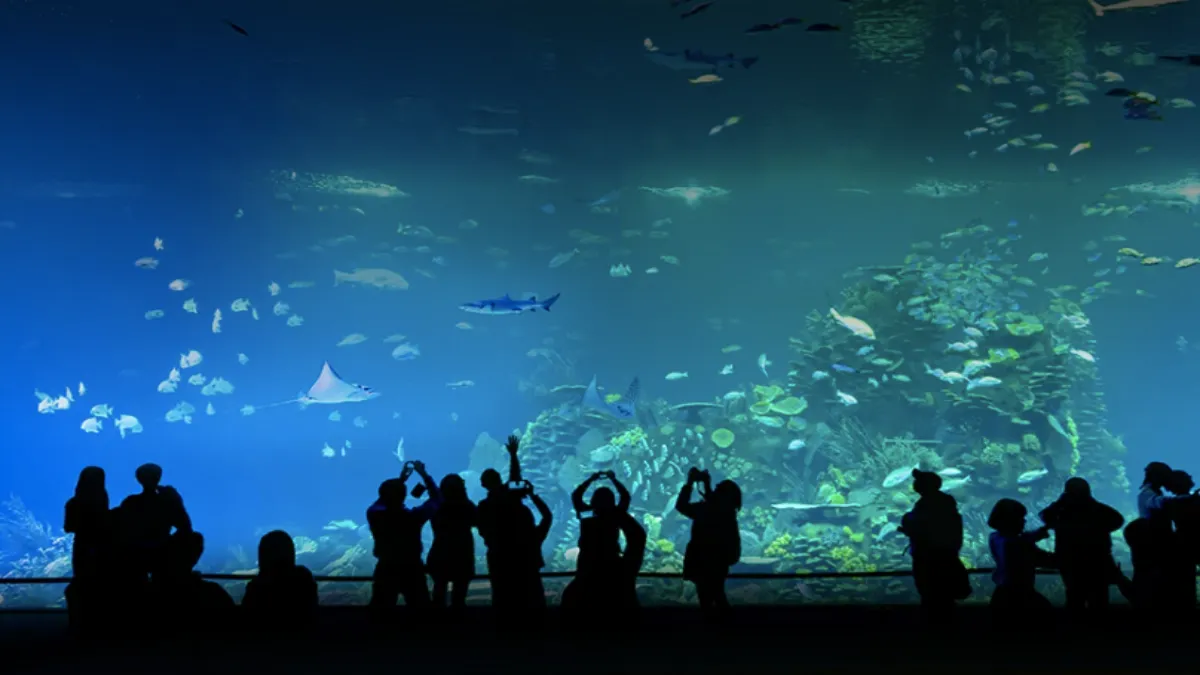 Inclusive hay partes que ellos del Acuario no están utilizando y regresan a ser del Municipio.
