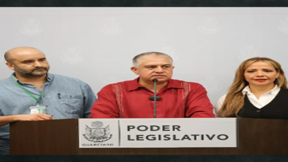 Pero aquí con el proyecto pareciera que dicen ‘primero paga y después te hago los estudios’.